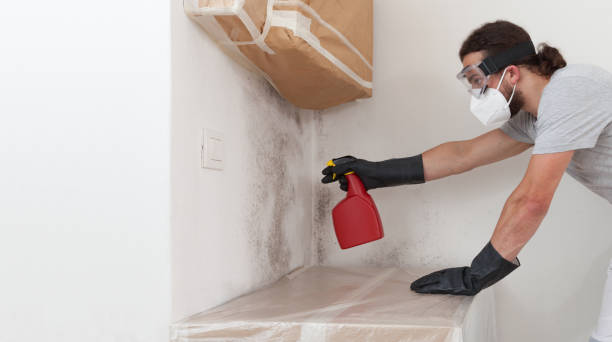 Professional Mold Remediation technician working in Brentwood, NY